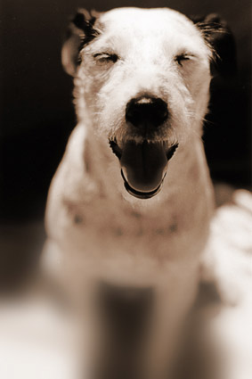 dreamb&w.jpg (28086 bytes)