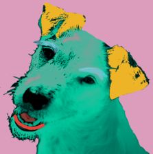 Randy Warhol